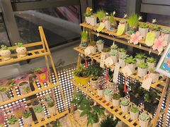 -海底捞火锅(如皋吾悦广场店)