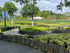 -季高兔窝窝亲子园(上海薰衣草公园店)