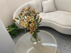 -S&G Beauty轻奢皮肤管理中心