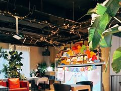 -百好乐宠物友好餐厅(朝外大街店)