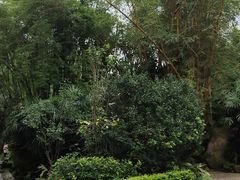 -人民公园(罗湖区)