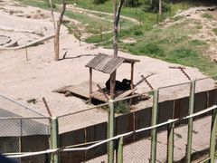 -青藏高原野生动物园