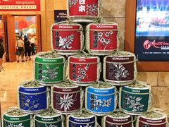 -圣淘沙名胜世界