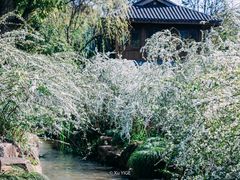 -中国茶叶博物馆(双峰馆区)