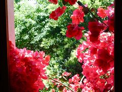 -乡绅本色白家厨坊