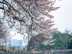 -红星桥(地铁站)