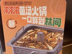 -海底捞火锅(枫蓝国际购物中心店)