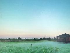 -军山湖云水间水上餐厅(进贤店)