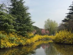 -白马涧龙池景区