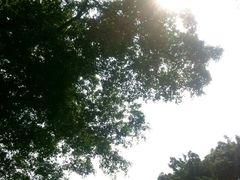 android_upload_pic-中山大学学者灵芝(园南路店)