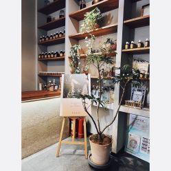 -芳香乐府疗愈空间·SPA·冥想