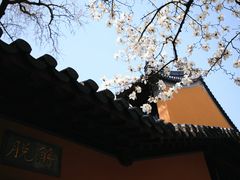 -灵谷景区