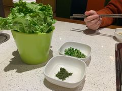 -九府羊·鲜羊火锅·烤串(新华路店)