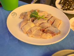 吃稻谷文昌鸡-千岛蚝高压锅生蚝·人参火锅(白云万达店)