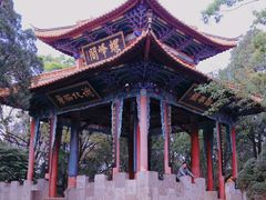 -昆明动物园