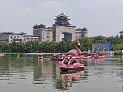 -莲花池公园