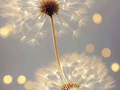 -墨茉点心局(喜盈门范城店)