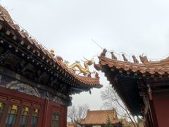 -大召无量寺