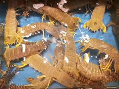 -宝燕海鲜(好爱店)