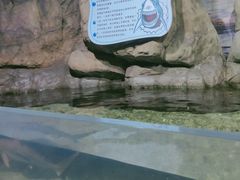 -南昌海洋公园