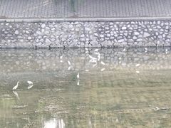 -白鹭湾湿地公园