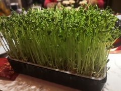 -捞神汤物料理(正大广场店)