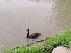 -兰陵国家农业公园