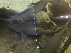 -鸿通城购物中心