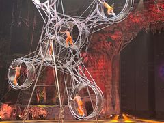 -广州长隆国际大马戏