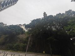 -东望洋炮台东望洋灯塔