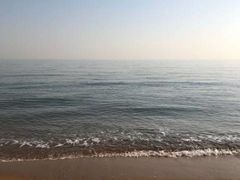 -渡海小渔村.老辈日照菜