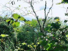 -春暖花开(西溪店)