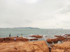 -九龙餐厅(大沽路店)