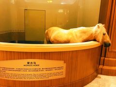 -海澜飞马水城