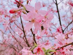 -田野绿世界
