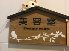 -宠爱国际动物医院·消化内科·心肾内科·ISFM猫友好(望京店)