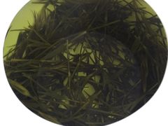 -颐和海鲜饺子