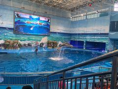 -多彩贵州城极地海洋世界