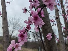 -花溪公园