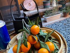 -新月集庭院咖啡馆(老邮局店)