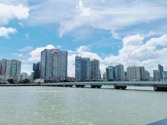 -野狸岛