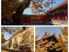 -故宫博物院(故宫)