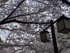 -范蠡湖公园