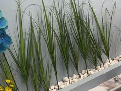 -福禄财东北菜(珠江帝景店)
