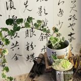 无锡首发新中式斯是陋室甘蔗冰·一口气炫两杯