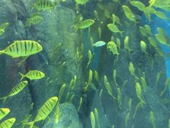 罗源湾海洋世界-福州罗源湾海洋世界旅游区