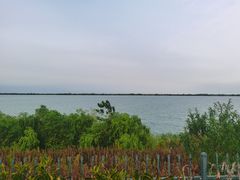 -江滩湿地公园
