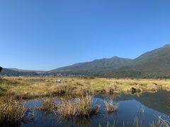 -腾冲北海湿地