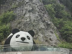 -卧龙自然保护区