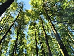 -山王坪喀斯特国家生态公园